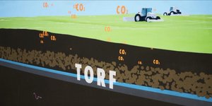 Landwirtschaft im Moor: Vom CO2-Problem zur Lösung